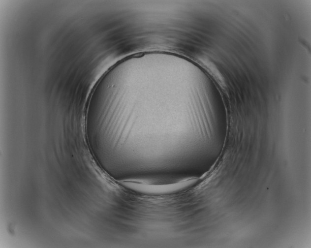 X0000097881340200804041605