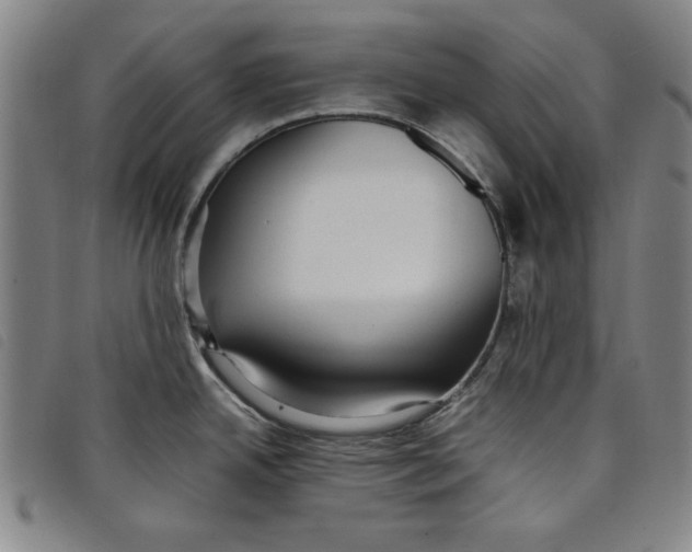 X0000097881342200804041605