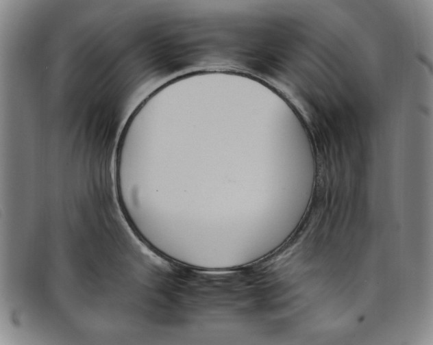 X0000097881343200804041605