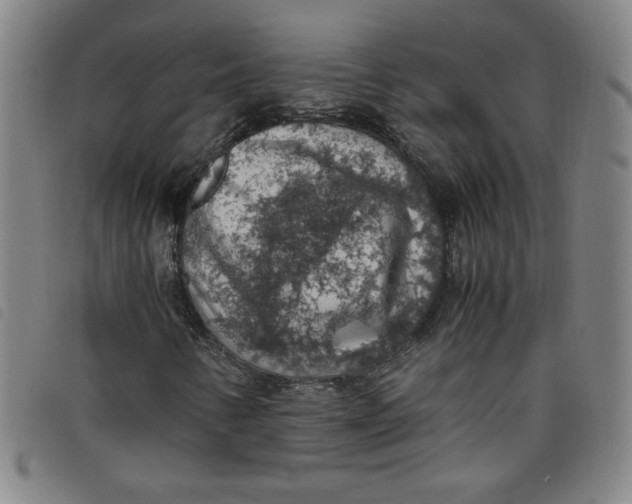 X0000097881346200804041605