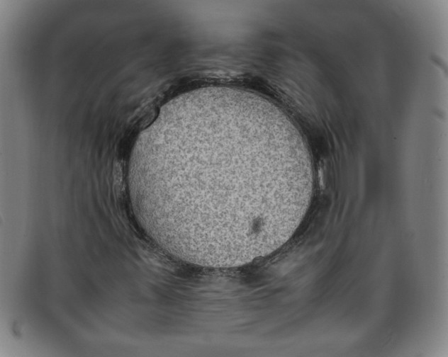 X0000097881347200804041604