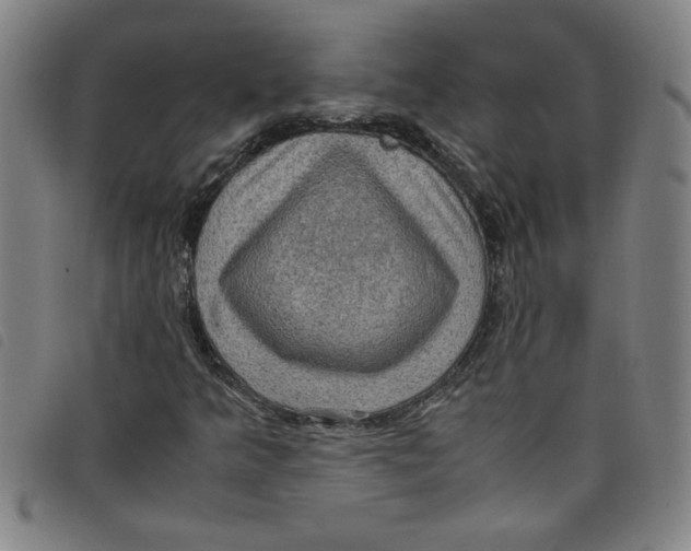 X0000097881349200804041604