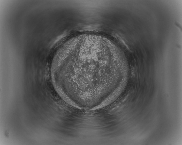 X0000097881350200804041604