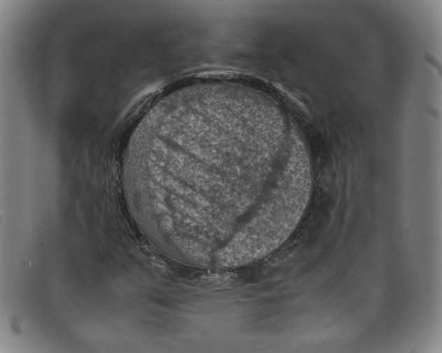 X0000097881351200804041604