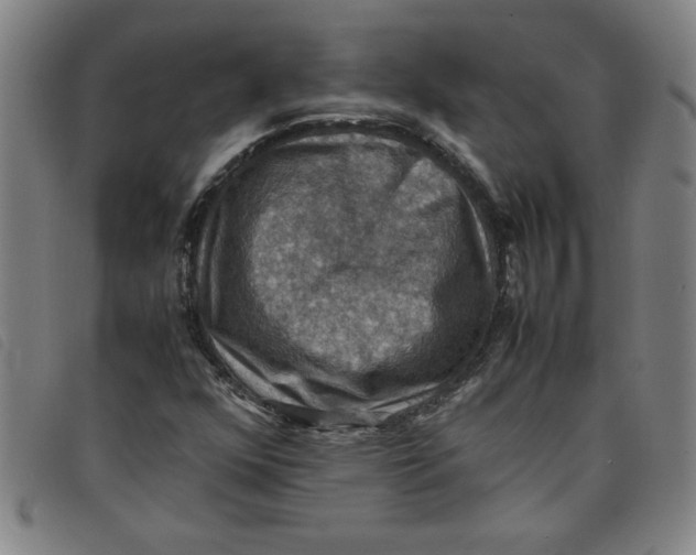 X0000097881352200804041604