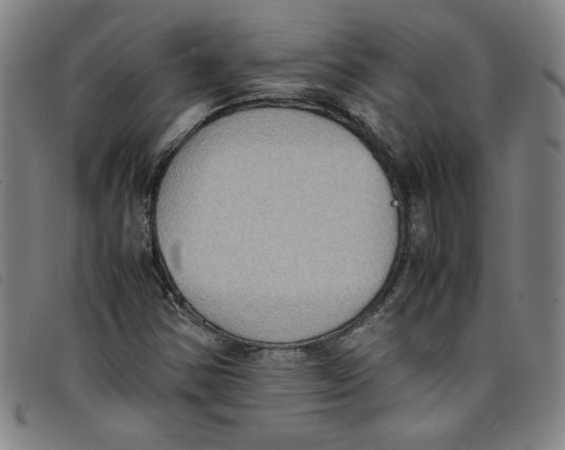 X0000097881354200804041604