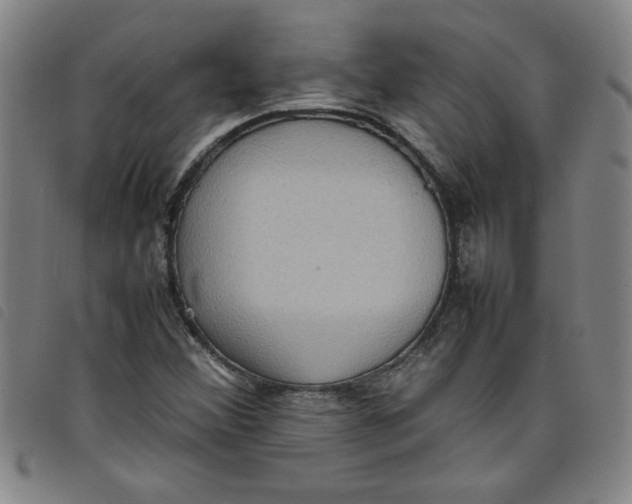 X0000097881356200804041604