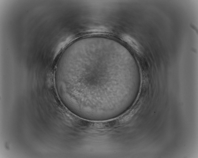 X0000097881357200804041604