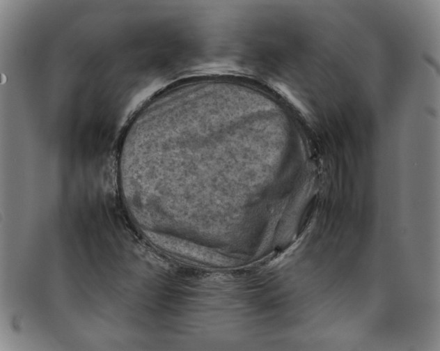 X0000097881358200804041604