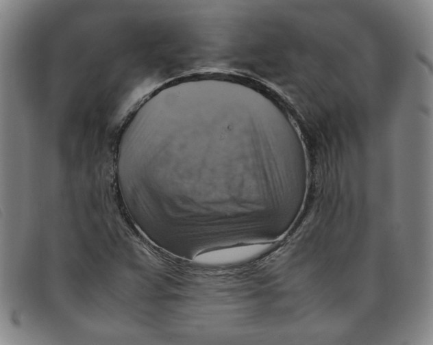 X0000097881359200804041604