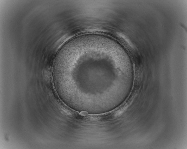 X0000097881361200804041604