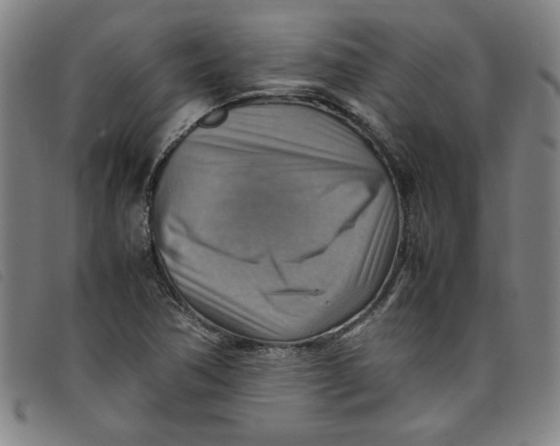 X0000097881362200804041604