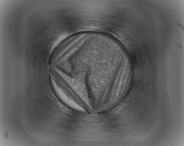 X0000097881363200804041604