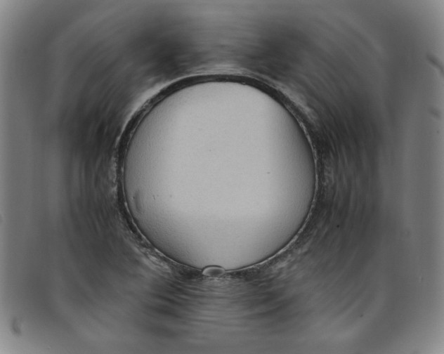 X0000097881364200804041604