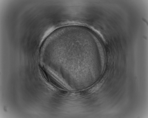 X0000097881365200804041604