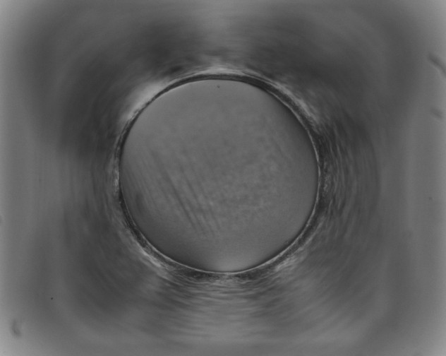 X0000097881367200804041604