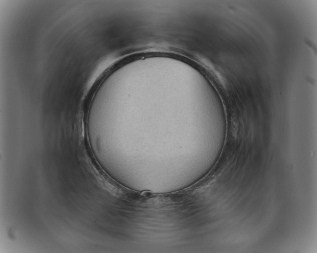 X0000097881368200804041604