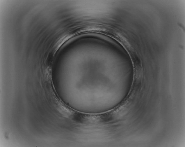 X0000097881369200804041604