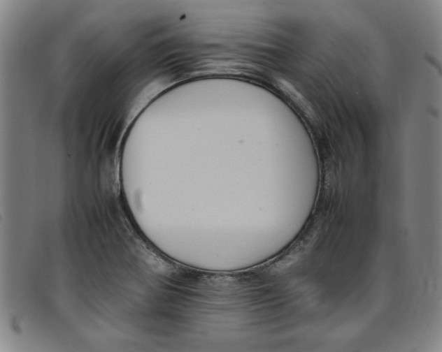 X0000097881370200804041604