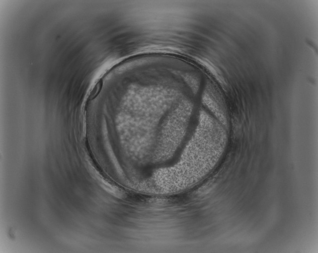 X0000097881371200804041604