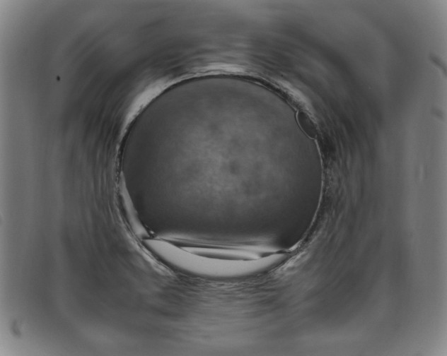 X0000097881373200804041604