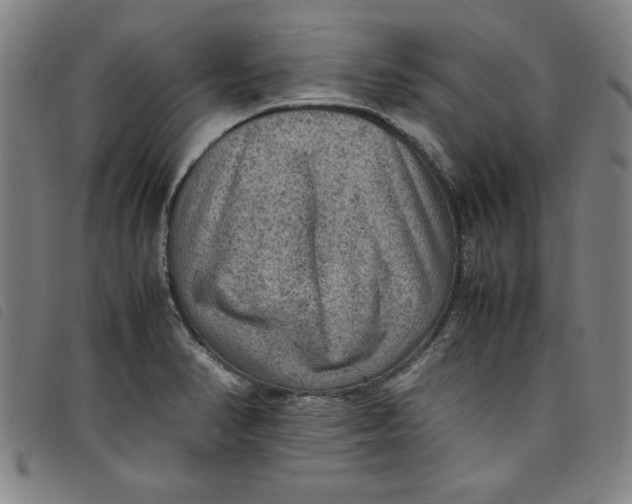 X0000097881374200804041604