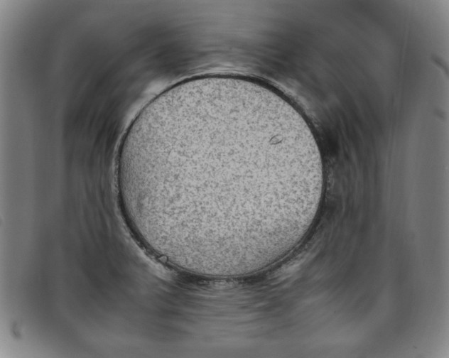 X0000097881375200804041604