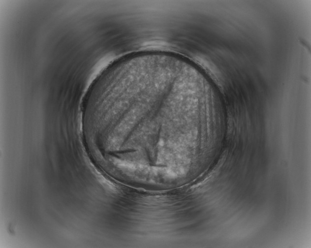 X0000097881376200804041604