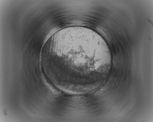 X0000097881378200804041604