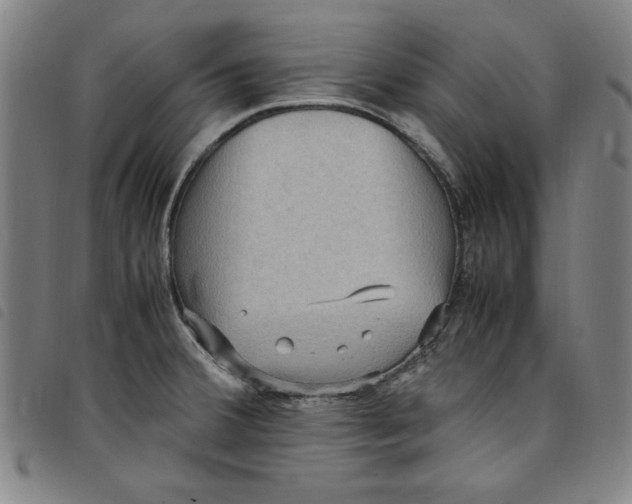 X0000097881380200804041604