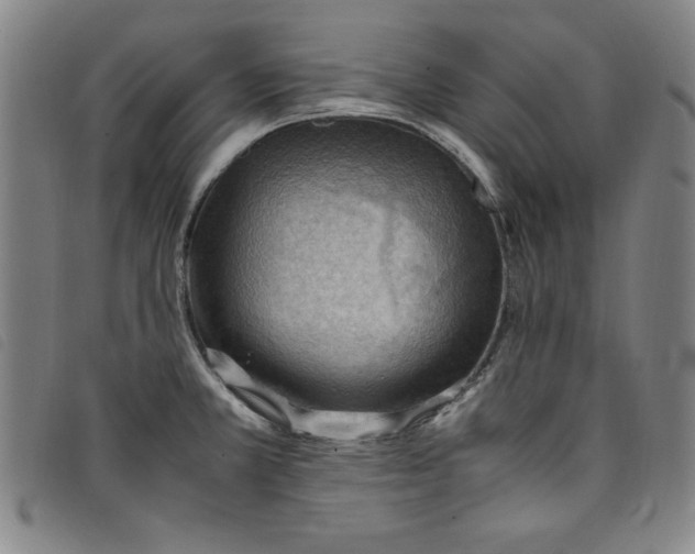 X0000097881381200804041604