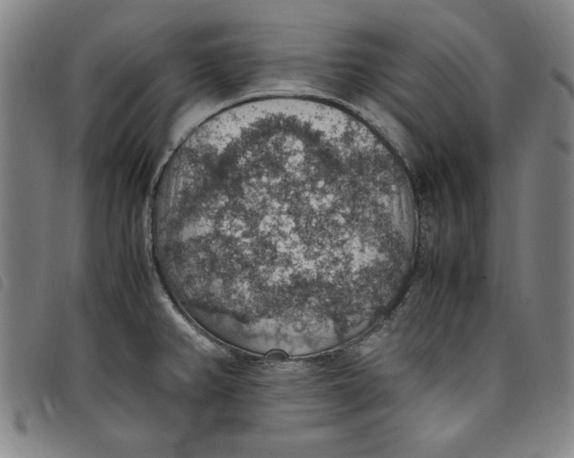 X0000097881382200804041604