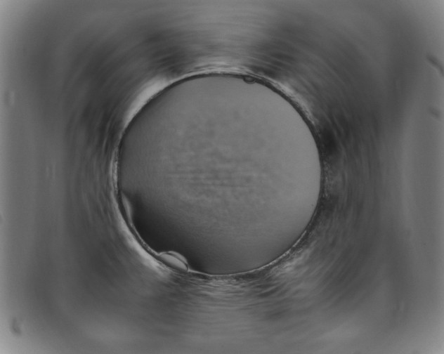 X0000097881383200804041604