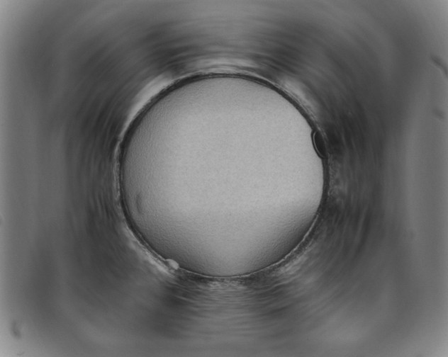 X0000097881384200804041604