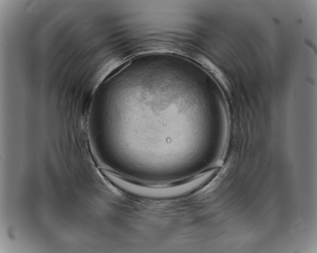 X0000097881385200804041604