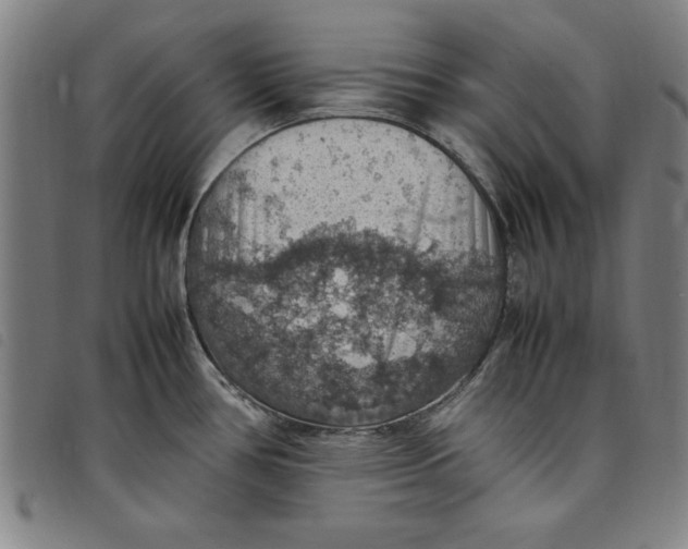 X0000097881386200804041604