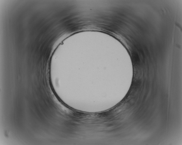 X0000097881387200804041604