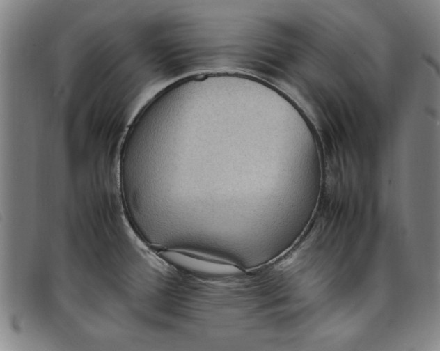 X0000097881388200804041604