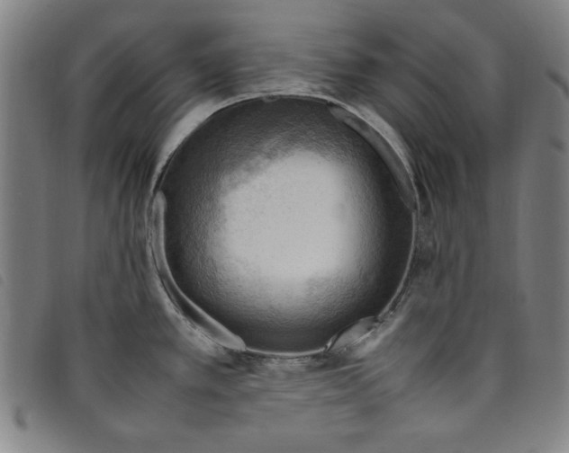 X0000097881389200804041604