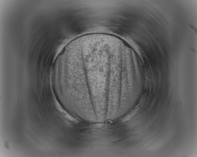 X0000097881390200804041604