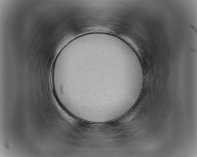 X0000097881391200804041604