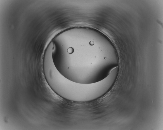 X0000097881392200804041604