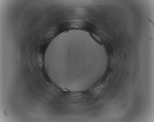 X0000097881394200804041603