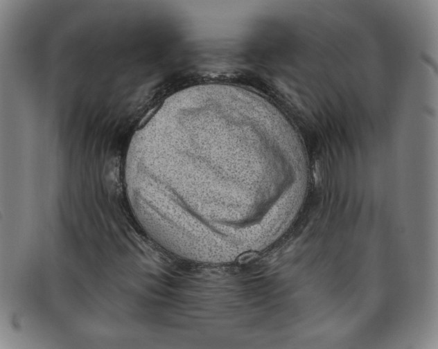 X0000097881396200804041603