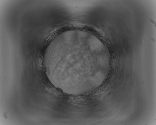 X0000097881397200804041603