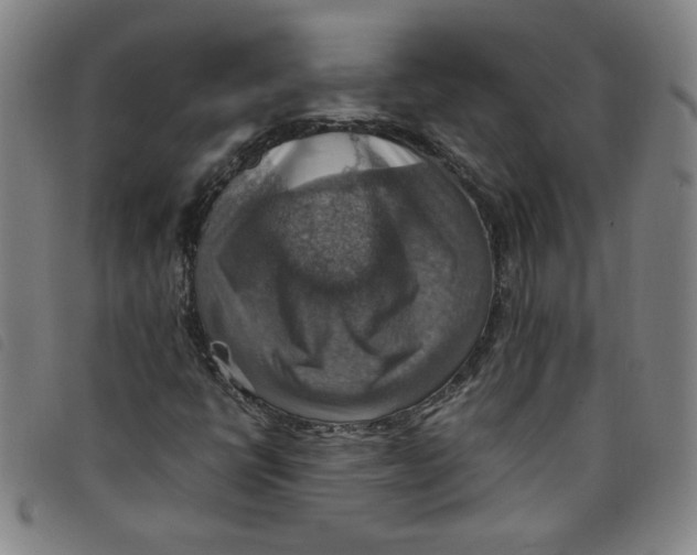 X0000097881398200804041603