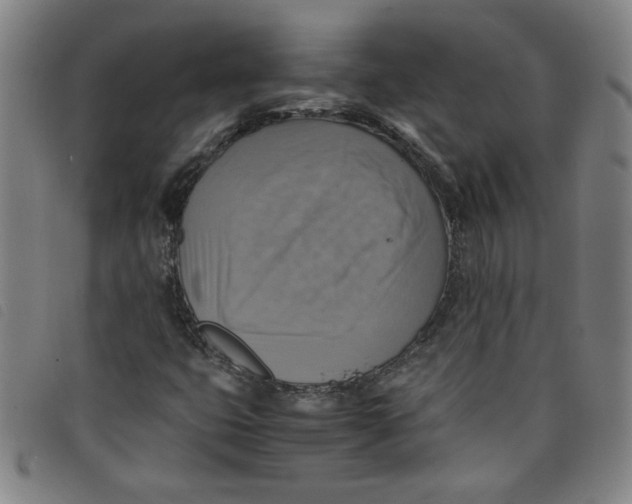 X0000097881399200804041603