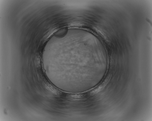 X0000097881401200804041603