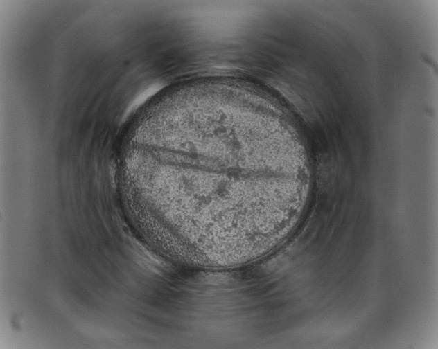 X0000097881402200804041603