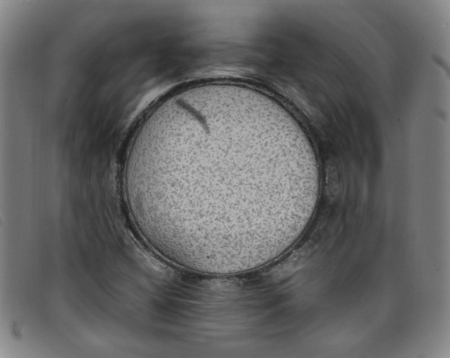 X0000097881404200804041603